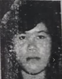 ARMITA SARI